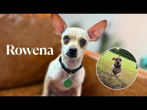 Meet fun girl Rowena!