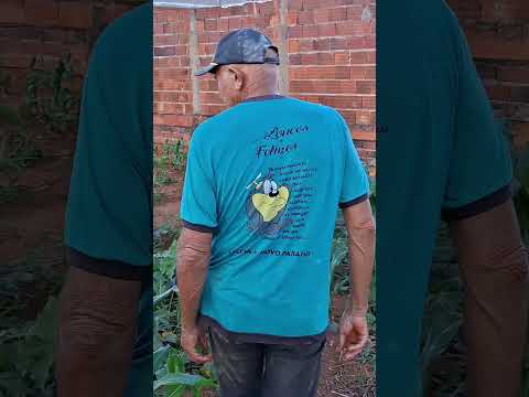 agricultura na cidade #nordeste #goias #vaquejada