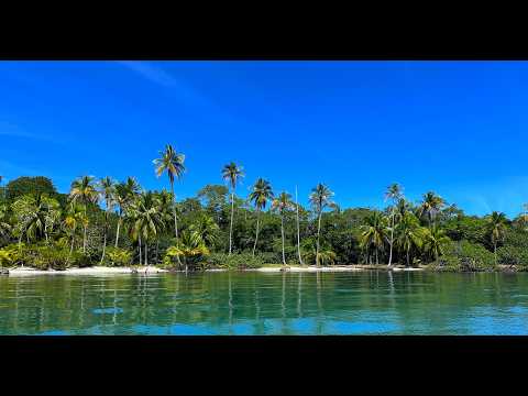 A 2.5 Acre Titled White Sand Beach with 961ft Waterfront | Bocas del Toro, Panama
