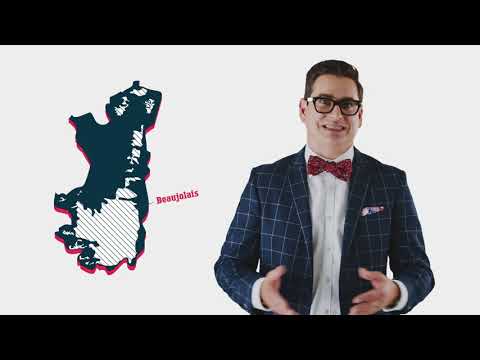 Discover Beaujolais in 5 minutes