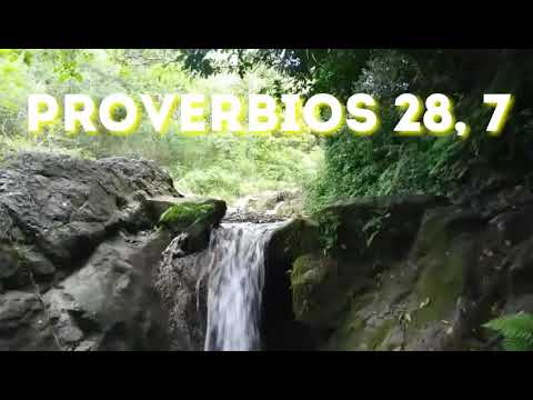 Proverbios 28, 7