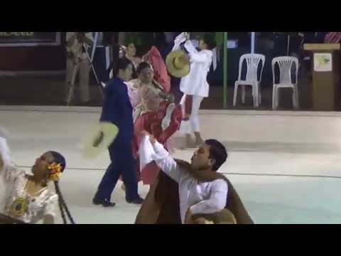 El Bosque 2014. Final Juvenil