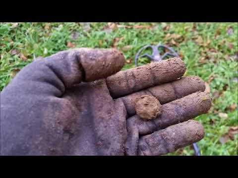 Der Bayern Sondler Teil 10 - Sondeln auf der Wiese top im Wald aber flop