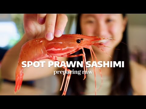 Large fresh spot prawn sashimi 🦐 preparing and eating amaebi at home 🍣