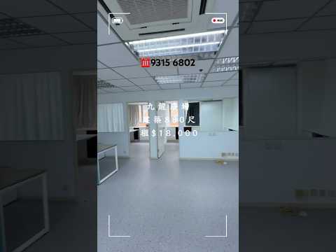 九龙广场 Youtube Video