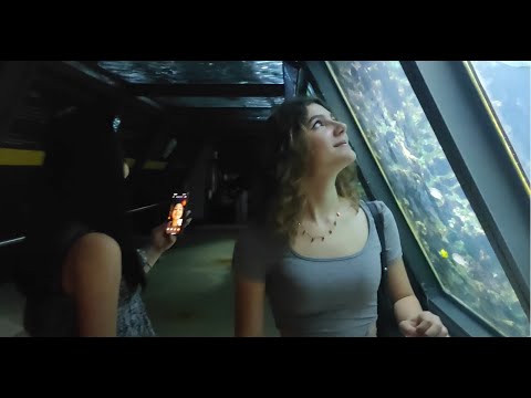 acquario di cattolica 28.06.23