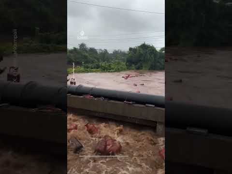 India floods sweep away thousands of gas cylinders