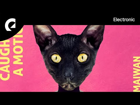 Maiwan - Caught In A Motion