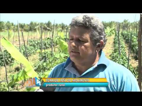 Agricultura Sustentável.