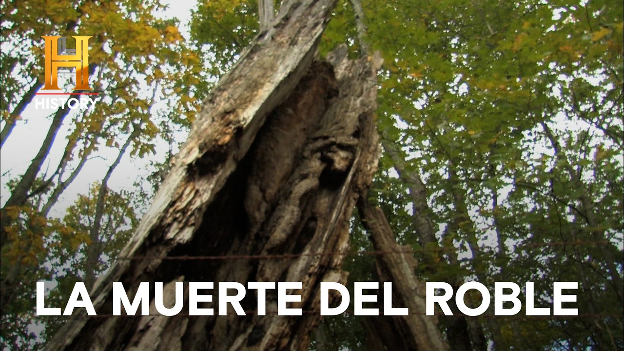 EL MONSTRUO DE FLATWOODS: ¿Histeria o criatura real en virginia? - Monstruos Legendarios