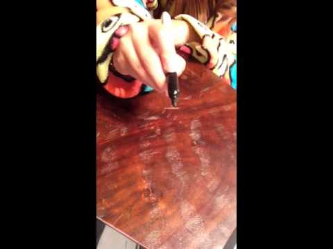 Fortune teller montana