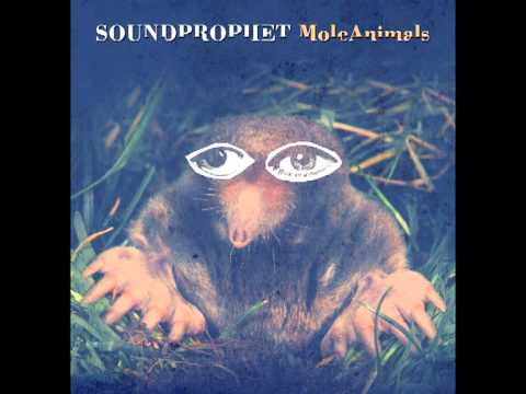 SOUNDPROPHET - Mole Animals.