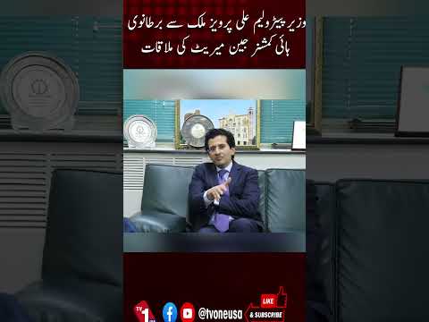 وزیر پیٹرولیم علی پرویز ملک کی برطانیہ کی ہائی کمشنر جین میریٹ سے ملاقات