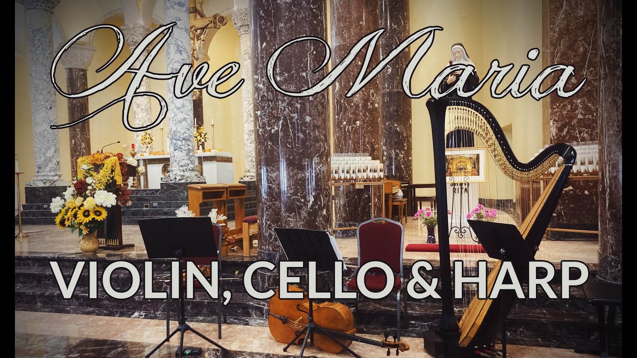 Hire Chicago Street Strings Classical Ensemble in Des Plaines, Illinois