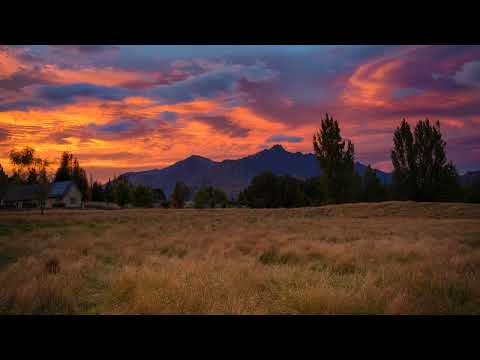 Sonic Dream Collective - Oh Baby All