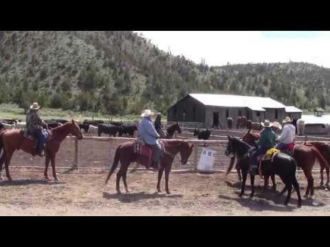 2013 06 04 Montana Cattle Drive x012