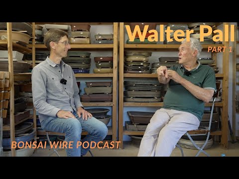 Chat with Walter Pall Part 1