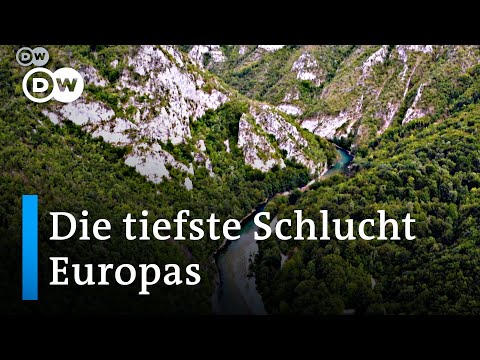 Europas Grand Canyon: die bis zu 1.300 Meter tiefe Tara-Schlucht liegt in Montenegro | DW Euromaxx