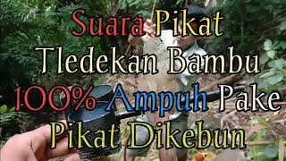 Download lagu 🔴Suara pikat TLEDEKAN BAMBU 100% Ampuh Pake pikat ||  G.A.I KICAU mp3