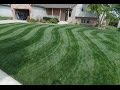 Mowing Stripes In Lawn - The "S" Curve or Wave ...
