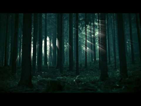 SEBAS X RADY X BROX - DEL TIRI