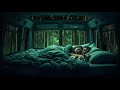 Midnight Cozy Car Ambience For Stress Relief ️ 스트레스 해소 밤 아늑한 차 안