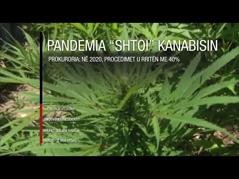 Edicioni informativ - 5 Maj 2021 - Ora 20:00 - RTV Ora