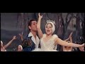 Barbra Streisand   The swan