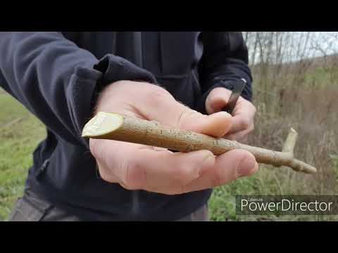 Zero Tolerance 0230. Review. (german)