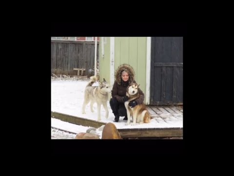 Snow Day In Norman, Oklahoma 2020