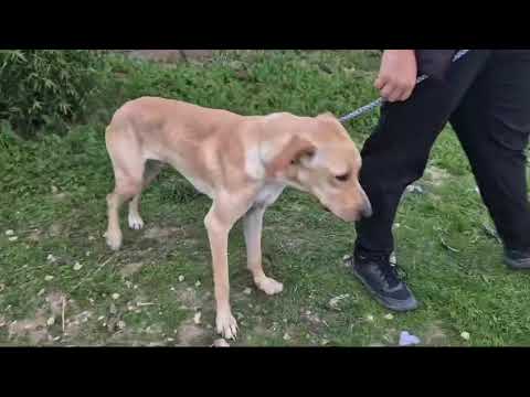 Vídeo de ERIK