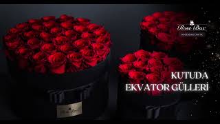 Kutuda Ekvator Gülü | Kutuda Gül Siparişi ve Fiyatları