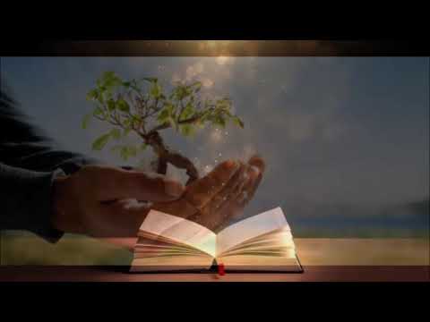 MOMENTI I SHENJTË – Lutja e përditshme, E hënë - 26 korrik 2021