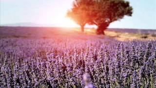 Ricordi Intorno a Noi (Stelvio Cipriani) - 432 Hz by G.S.