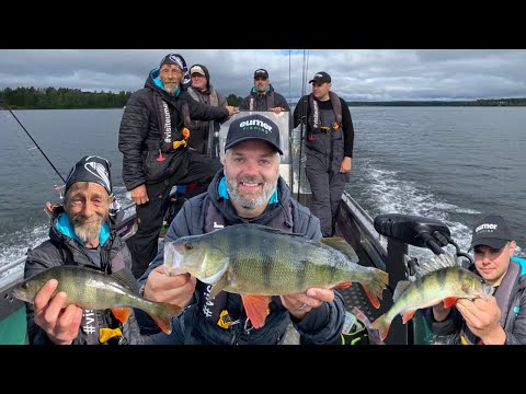 Oppia ikä kaikki • Isot ahvenet löytyivät särkiparvesta • Ahvenen kalastus • Ruotsinreissu OSA 1