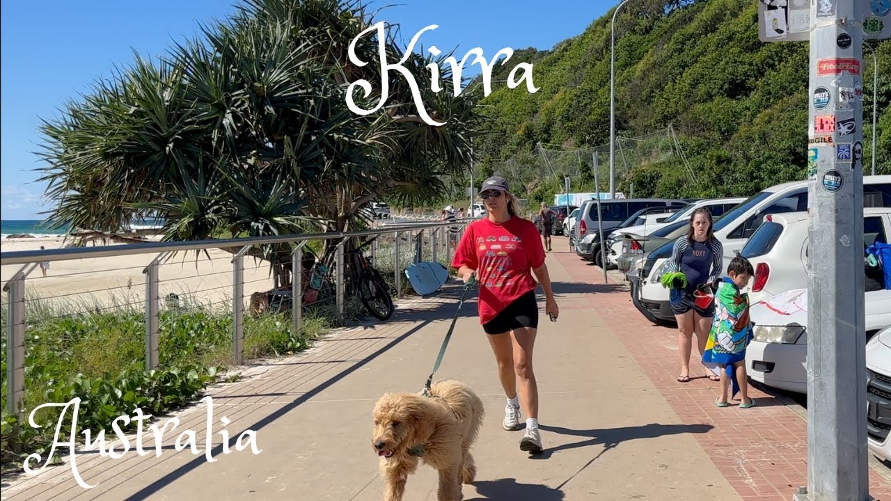 Embark on a fascinating walking tour along Kirra Beach.