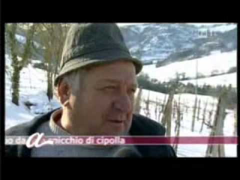 La gravidanza e i vermi che trattare Parassiti applicativi di asd-2