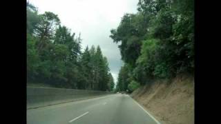 LOVE INKS - Blackeye