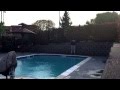 Flo rida Ft Chris Brown Here it is 