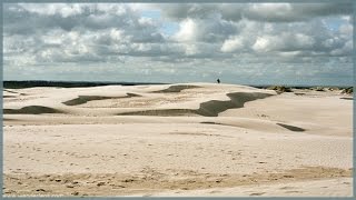 preview picture of video 'Rabjerg Mile - движущаяся песчаная дюна, Скаген, Дания / Råbjerg Mile, Skagen, Denmark'