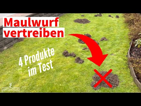 Maulwürfe vertreiben - 4 Produkte im Test (Karbid, Maulwurfschreck, Lebendfalle...)