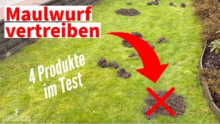 Maulwürfe vertreiben - 4 Produkte im Test (Karbid, Maulwurfschreck, Lebendfalle...)