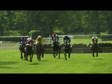 PE, 25. 5. 2019, 1. dostih - Cena vítězů Velké pardubické