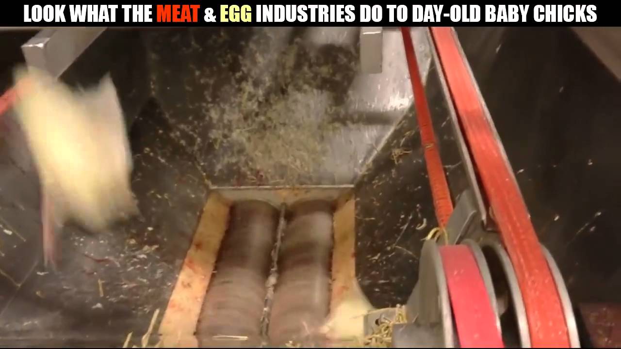 What we're trying to justify