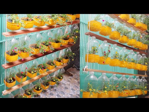 Let s grow bitter melon for your family this way it s very fruity and easy to make