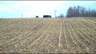 Lycia - My Time Has Come And Gone