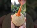 Tasty Masala Woodapple Kodbel Shorts Streetfood Trending Fruit