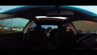 Sen doing a little car sitting