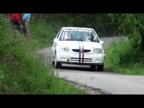 Rally Dell'Emilia 2013 Giorgini-Salgaro Saxo N2