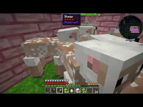 Divine Journey 2 Episode 7: Enough About the Lawn